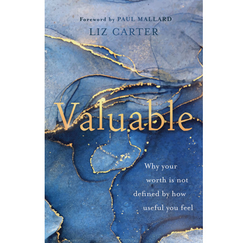 Valuable (audiobook)