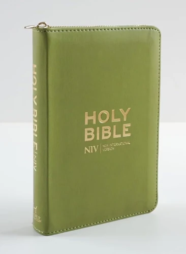 NIV Pocket Olive Green Bible with Gold Zip