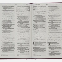 NIV Popular Burgundy Hardback Bible