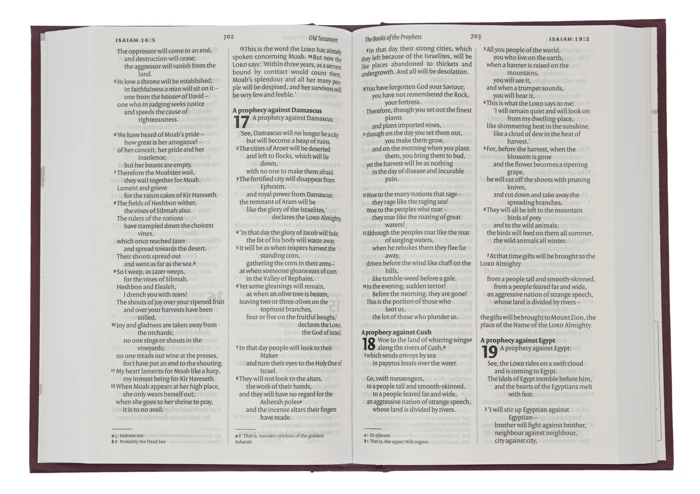 NIV Popular Burgundy Hardback Bible