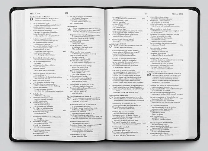 ESV Gift and Award Bible (TruTone®, Black)