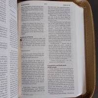 NIV Pocket Latte Bible with Gold Zip