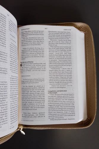 NIV Pocket Latte Bible with Gold Zip