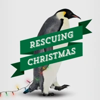 Rescuing Christmas (ebook)
