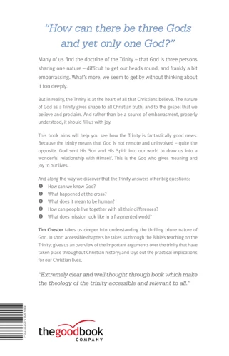 Delighting in the Trinity (ebook)
