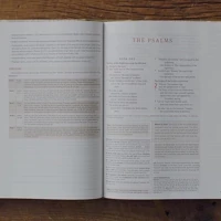ESV Journaling Study Bible, Artist Series