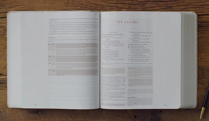 ESV Journaling Study Bible, Artist Series