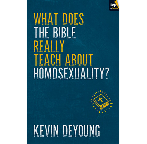 What does the Bible really teach about homosexuality? (ebook)