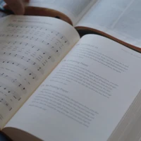 The Sing! Hymnal (TruTone over Board, Brown)