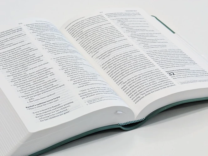NLT Holy Bible (Green)