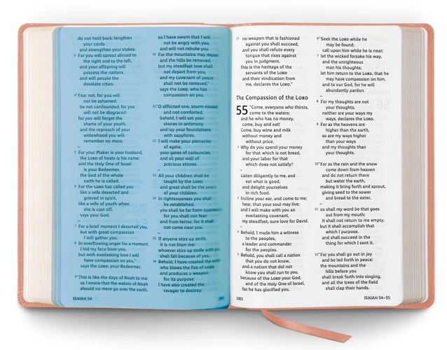 ESV Holy Bible: Dyslexia-Friendly Edition