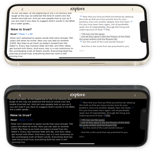 Daily Bible Reading Plan, Devotional Notes & Guide