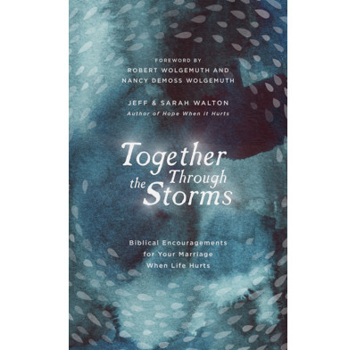 Together Through the Storms (audiobook)