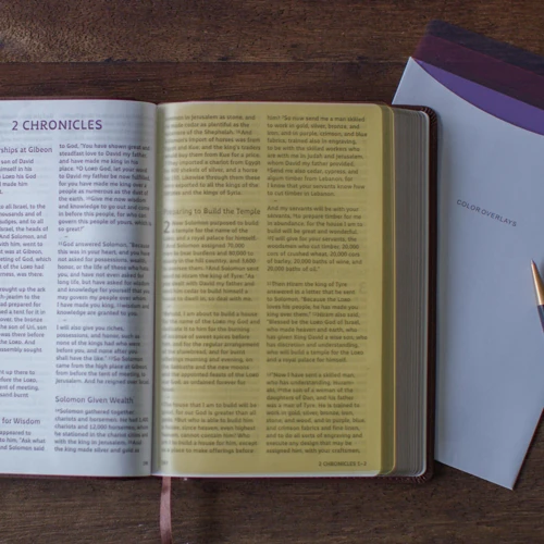 ESV Holy Bible: Dyslexia-Friendly Edition, TruTone Brown