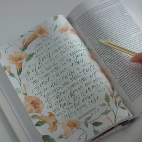 ESV GraceLaced Bible, Hardcover