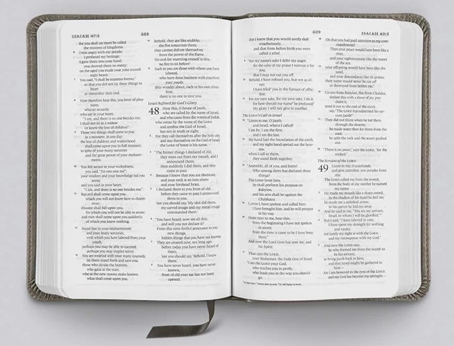 ESV Compact Bible, Silver