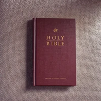 ESV Church Bible, Burgundy