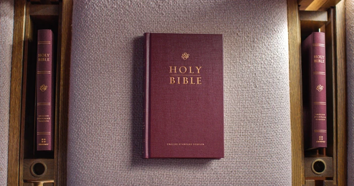 ESV Church Bible, Burgundy