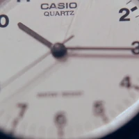 Time for Every Thing? (ebook)