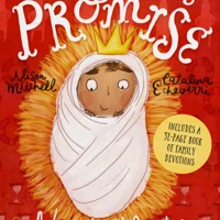 The Christmas Promise Advent Calendar