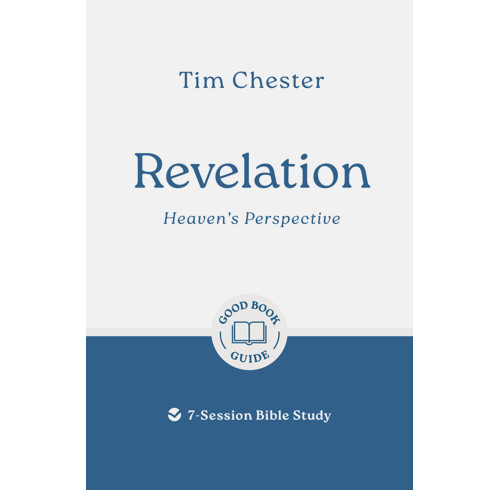 Revelation: Heaven's Perspective (ebook)