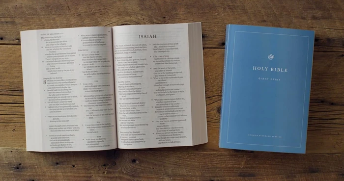 ESV Economy Bible, Giant Print