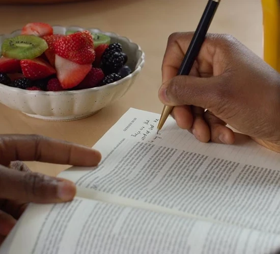 ESV Single Column Journaling Bible
