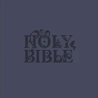 NLT Holy Bible (Blue)