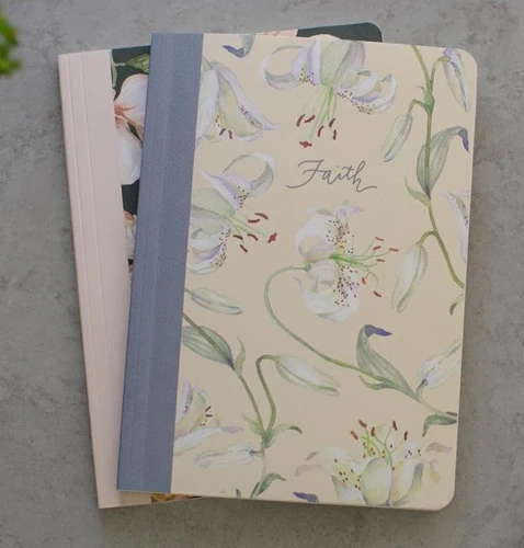 ESV Prayer Journal: 30 Days on Faith