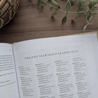 NLT Reflections Bible, Artist’s Edition (Hardcover Cloth)