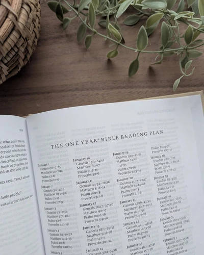 NLT Reflections Bible, Artist’s Edition (Hardcover Cloth)