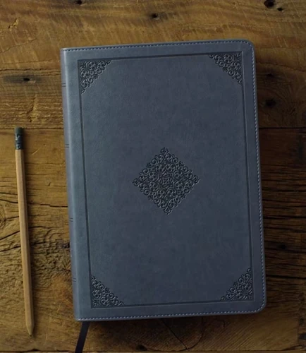 ESV Large Print Wide Margin Bible