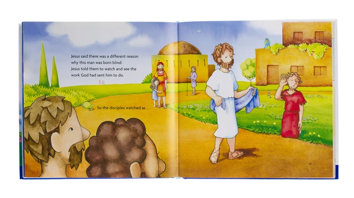 The Big Picture Story Bible (hardback)