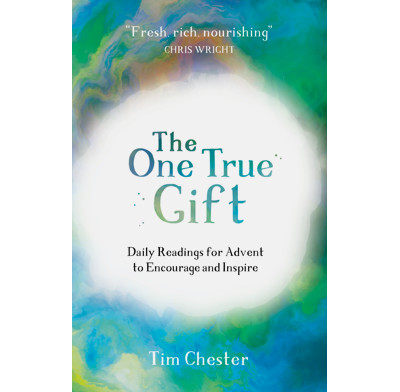 The One True Gift (ebook)