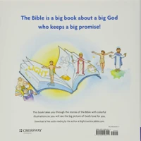 The Big Picture Story Bible (hardback)