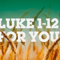 Luke 1 – 12 For You