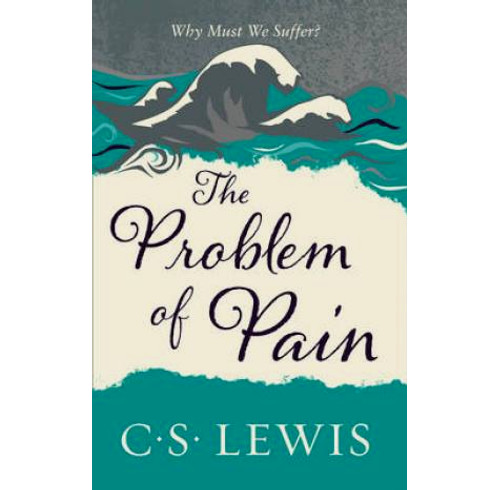 The Problem of Pain