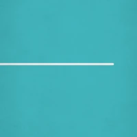 Assisted Suicide (ebook)