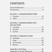 Purity in a Porn–Saturated Culture
