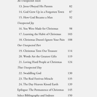 The Christmas We Didn't Expect (ebook)