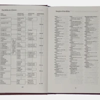 NIV Popular Burgundy Hardback Bible