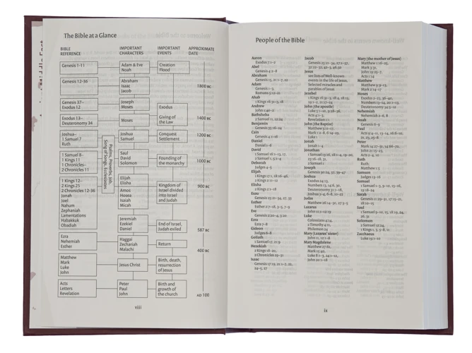 NIV Popular Burgundy Hardback Bible