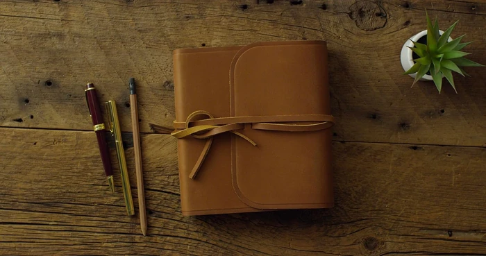 ESV Journaling Bible (Natural Leather, Brown, Flap with Strap)