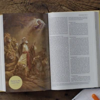 ESV Holy Bible for Kids