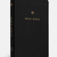 ESV Gift and Award Bible (TruTone®, Black)