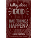 The Big Questions: Why does God let bad things happen? (audiobook)