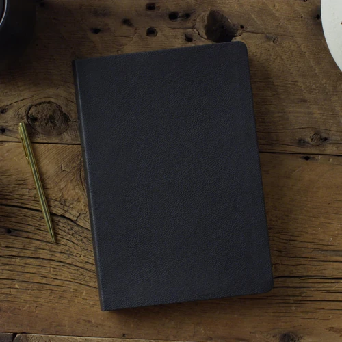 ESV Giant Print Value Thinline Bible