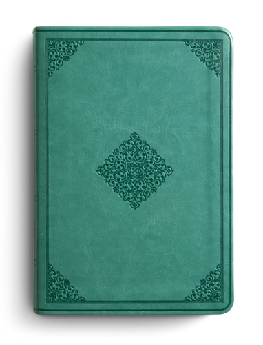 ESV Large Print Value Compact Bible