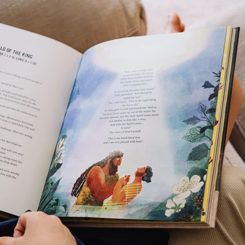 The Kingdom and the King Storybook Bible
