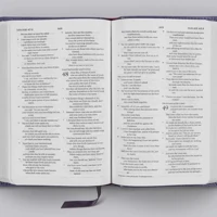 ESV Compact Bible, Lavender